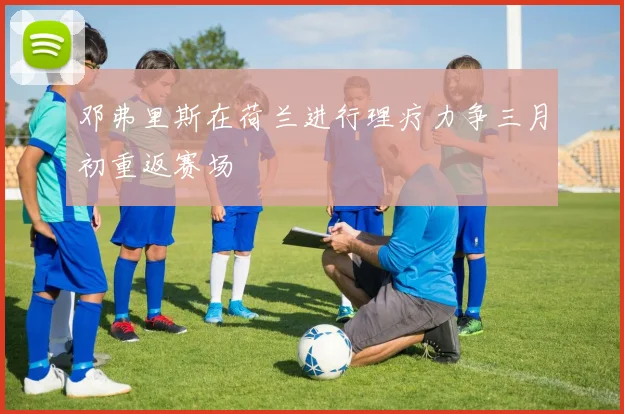 邓弗里斯在荷兰进行理疗力争三月初重返赛场