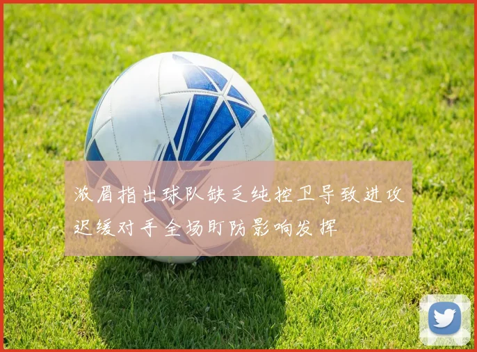 浓眉指出球队缺乏纯控卫导致进攻迟缓对手全场盯防影响发挥