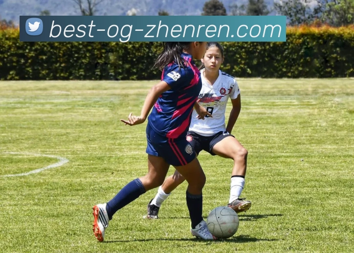 尤文图斯关注伯恩茅斯后卫塞内西计划明夏免签引发热议